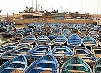 Excursion organised from Riad Vendôme Marrakech