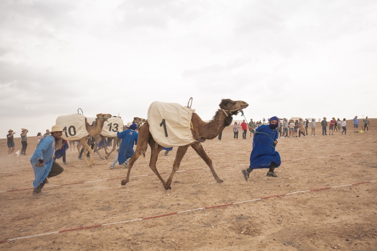 seminario aziendale in un riad privatizzato Marrakech, veduta