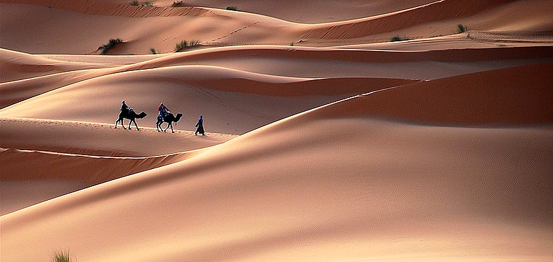 Wüstentour Fès Marrakesch, Dromedar-Karawane in den Dünen von Merzouga