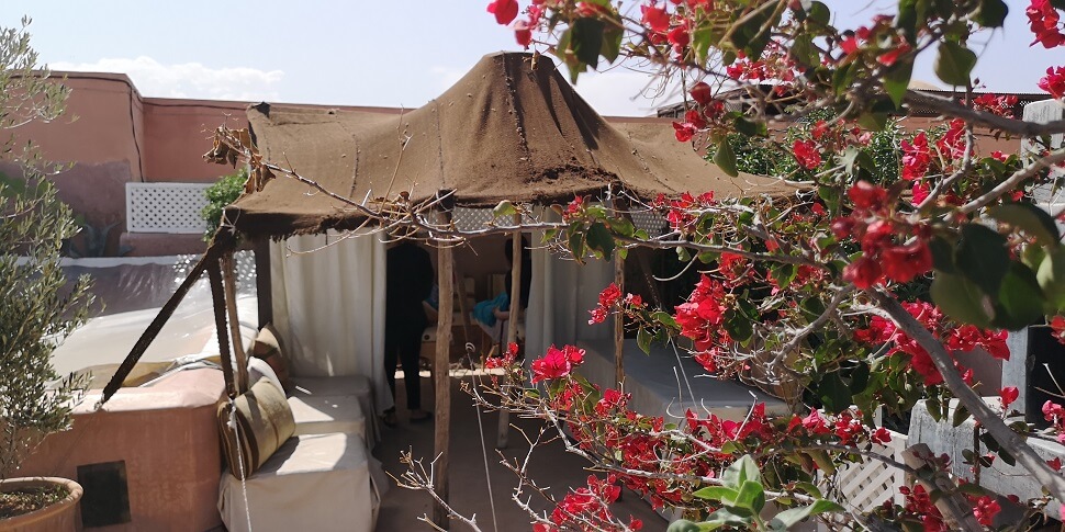group of friends celebrating in the riad patio, day pass spa Marrakech